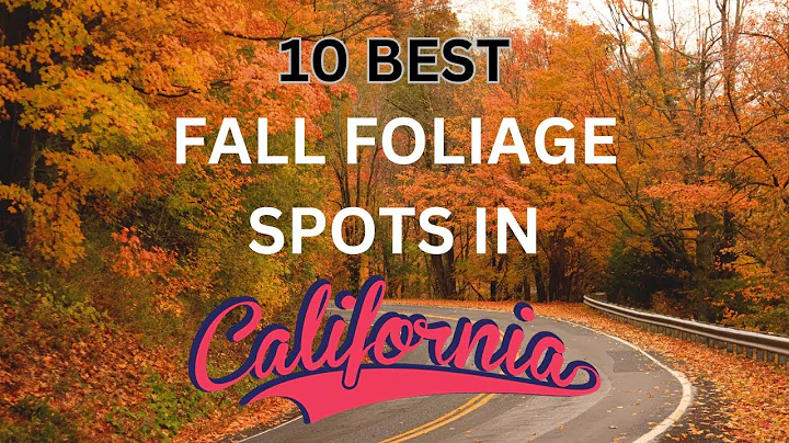 Fall Foliage Spots in California  2023 (9)