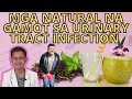 MGA NATURAL NA GAMOT SA URINARY TRACT INFECTION O UTI