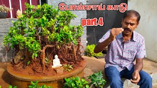 Bonsai Forest| போன்சாய் மரம் வளர்ப்பு| Bonsai for beginners| Country Farmss| Bonsai In Tamilnadu