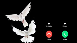 Ringtone||Sweet Voice||Best ringtonesHindi||Ringtone||Mobile ringtones||Flute Ringtone|| screenshot 4