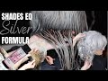 Gray blending hair tutorial  silver shades eq formula