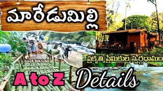 Maredumilli tourist places 2024 #maredumilli full tour plan #AP tourism #మారెడుమిల్లి అందాలు