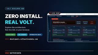Volt Developer Hub: Live SQL Sandbox, Zero Install