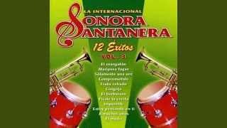 Video thumbnail of "La Sonora Santanera - El Orangutan"