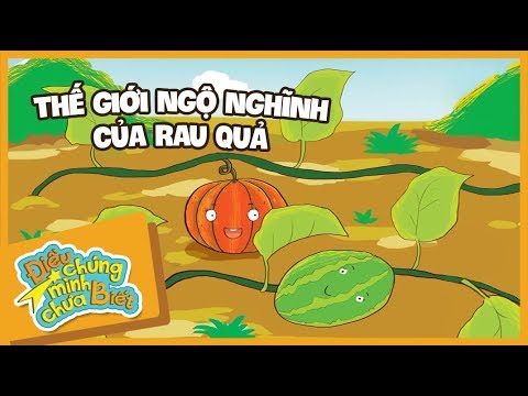 Thế Giới Ngộ Nghĩnh Của Rau Quả