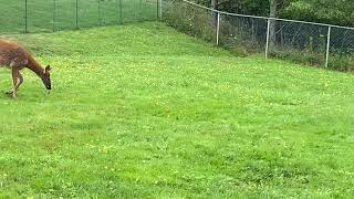 IMG 3390