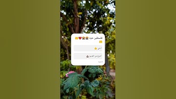 فلسطين حره قران كريم ❤️😁❤️👍