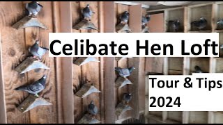 Celibate Hen Tour with Tips for 2024