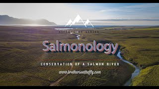 Salmonology - Conservation of a Salmon River by Brothers On The Fly 20,842 views 4 years ago 13 minutes, 3 seconds