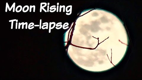 Moon Rising Time-lapse (through trees)