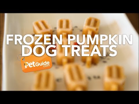 Video: Glutenvrije johannesbrood melasse Dog Treat Recept