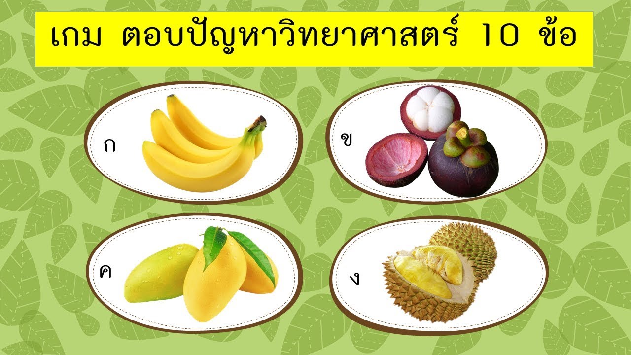 เกม ตอบปัญหาวิทยาศาสตร์ 10 ข้อ