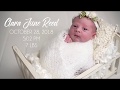 Baby clara newborn portrait