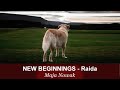 Raida  new beginnings  von maja nowak