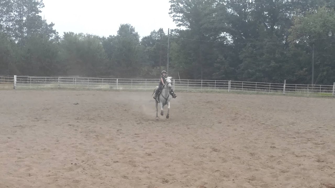Riata & Hope @ Rutledge. 8-10-14. Surprise Race - YouTube