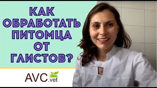 Как провести обработку от глистов (дегельминтизация)? Советы ветеринарного врача!