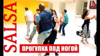 Сальса. Обучение. Сальса. Обучение.