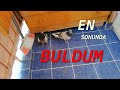 KAÇAN ÇORUM ÇIPLAĞI GÜVERCİNİMİ GERİ BULDUM