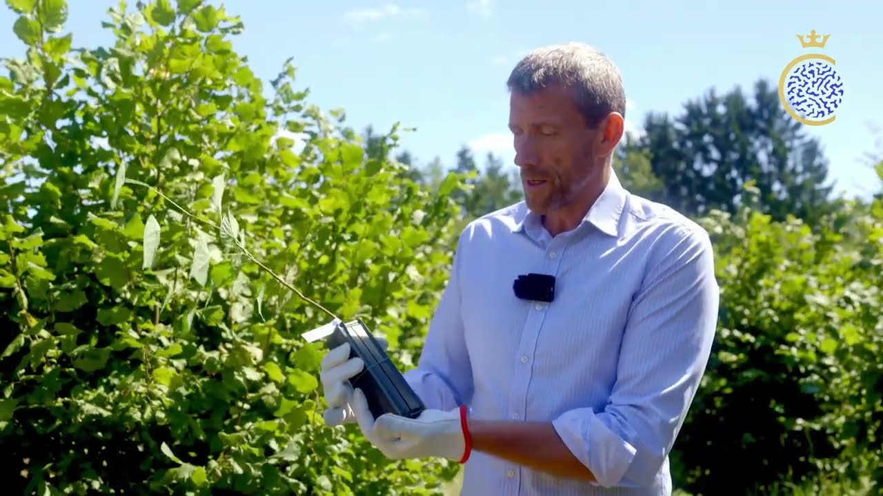 Pěstování lanýžů v ČR. Výzkum v ČR předhonil lanýžový svět.