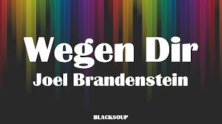 Joel Brandenstein - Wegen Dir Lyrics