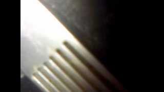 Amina Koydumun Oruspu Cocugu023