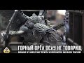 Репорт | Warhammer 40k | Daemons of Chaos VS Deathwatch and Black Templars | 2000 pts