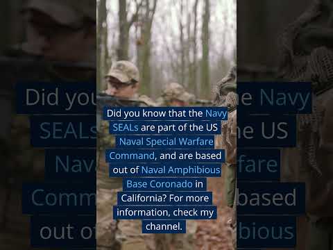 US Navy SEALs