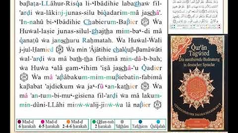 ختمة من مصحف التجويد باللغة الألمانية الصفحة رقم 486