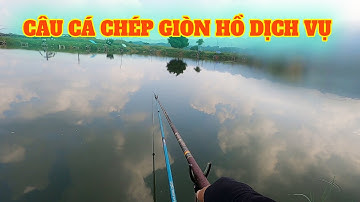 Câu đài - Bài mồi câu cá chép giòn hồ dịch vụ tăng thơm ngọt hiệu quả - Câu Cá