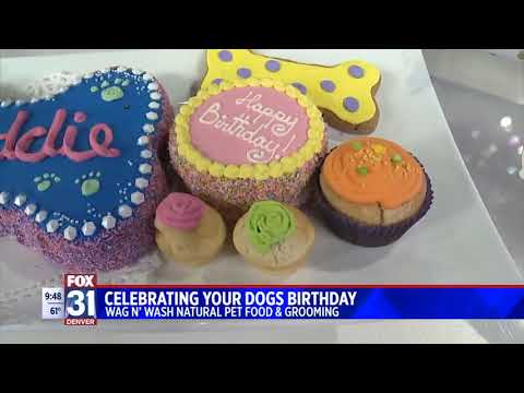 wag-n'-wash-custom-birthday-cakes---fox31-denver
