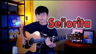 Shawn Mendes, Camila Cabello - Señorita ( Fingerstyle Guitar Cover by Sean Song ) chords