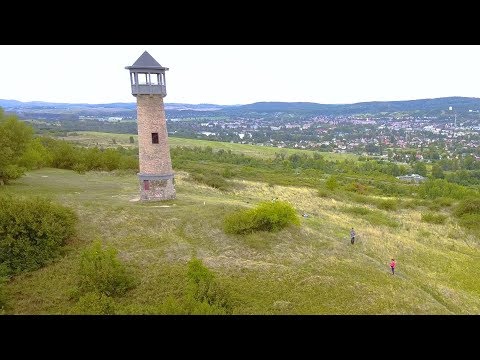 Videó: Nevezhinskaya hegyi kőris - egy véletlenül felfedezett csodafa