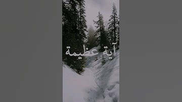 #رمضان_كريم🌙_رمضان_مبارك🌙 #الدول_العربيه #الجزائر🇩🇿_تونس🇹🇳_المغرب🇲🇦_فلسطين🇵🇸 #اذكار_وأدعية #تلاوة