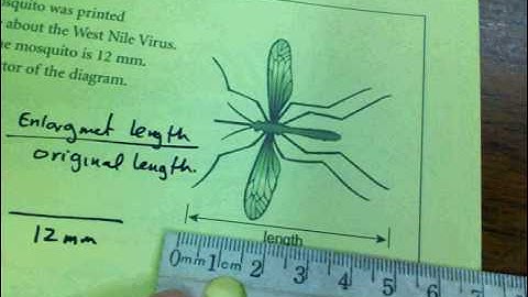 7 1   Scale Diagrams and Enlargements