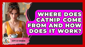 Where Does Catnip Come From And How Does It Work? - Happy Cat Handbook
