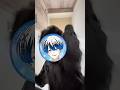 【現役高校生が歌って肘打ちしてみた】犬とバカ猫/セカンドバッカー(cover)#shorts #歌ってみた #cover #新人歌い手 #踊ってみた #犬とバカ猫