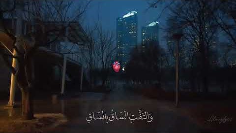 تلاوة مؤثرة من سورة القيامة بصوت القارئ محمد عباده تهز القلوب وتخشع لها الأرواح تأخذك إل عالم الخشوع