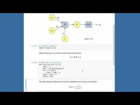Programar Red Neuronal Simple en Python