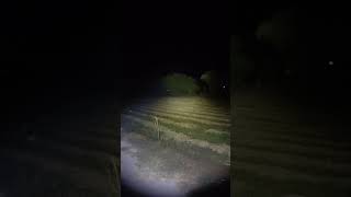 Fenix Tk16 V2.0 Işık Performansı