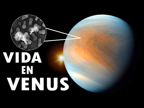 Vídeo: ¿Podría Haber Estado Habitada Venus Alguna Vez? - Vista Alternativa