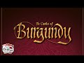 The Castles of Burgundy | Solo Playthrough | With Colin