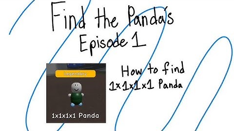 How to Find 1x1x1x1 Panda in Find The Pandas