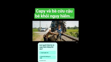 Capy và bà nhanh cứu cậu bé khỏi nguy hiểm trước tàu hỏa... #capybara #funny