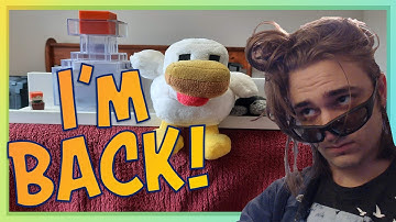 Married, Moved, Minecraft! | Purity Vanilla: Minecraft 1.18 Anarchy Without Hacks