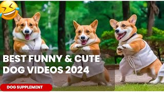 Funny Dog Videos 2024 | Funniest Dog Comedy Compilation of the Year | Funny pet videos