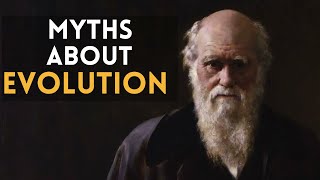 Theory of Evolution: Myths and misconceptions 🌚 Lecture for Sleep & Study