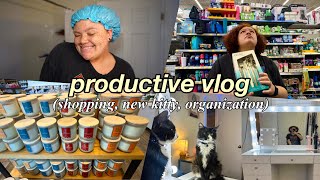 PRODUCTIVE VLOG | reset routine, getting a new kitty, shopping, vanity organization, gym!!