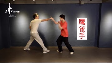 8-step praying mantis self-defense fighting skill / 八步螳螂鷹雀手