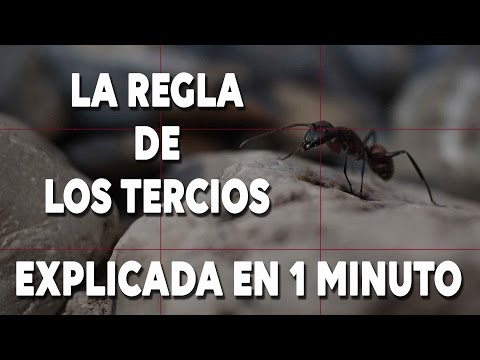 Video: ¿Para la regla de los tercios?