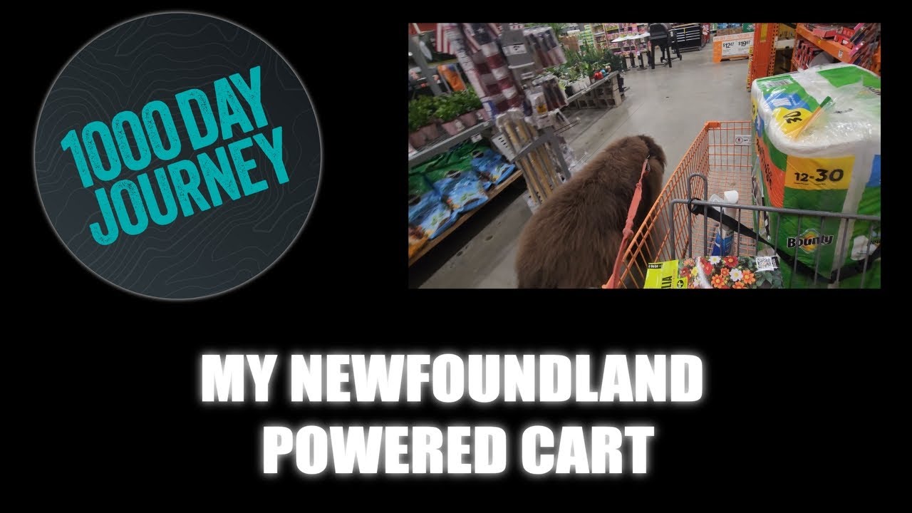 1000 Day Journey 0900 Newfoundland Powered Shopping Cart